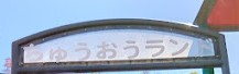 年長組、お外遊び楽しんでいます！