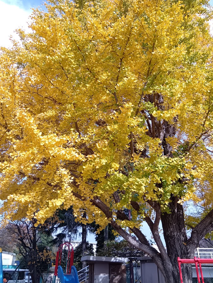 2学期のお楽しみ💕