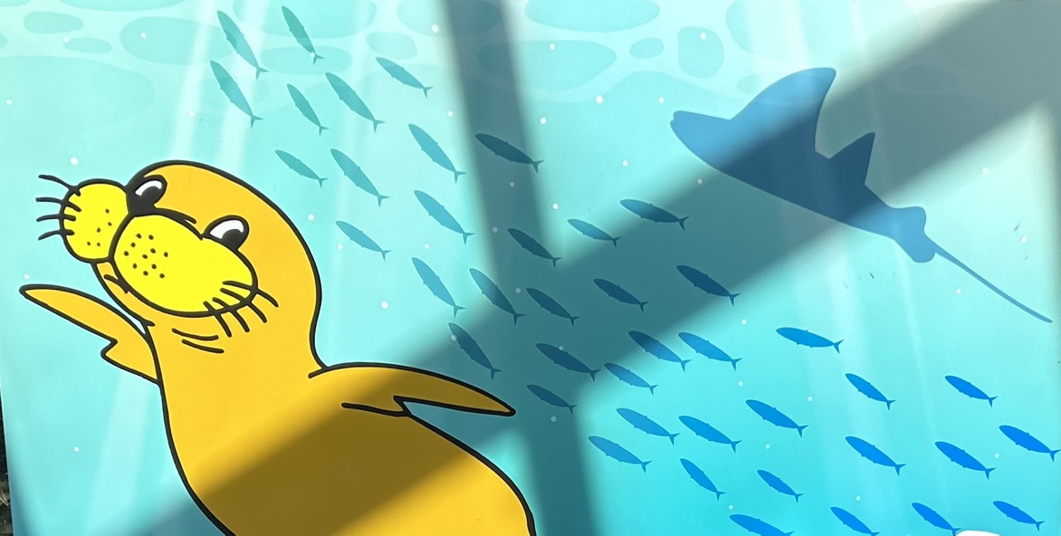 シーパラ遠足に行きました🐬