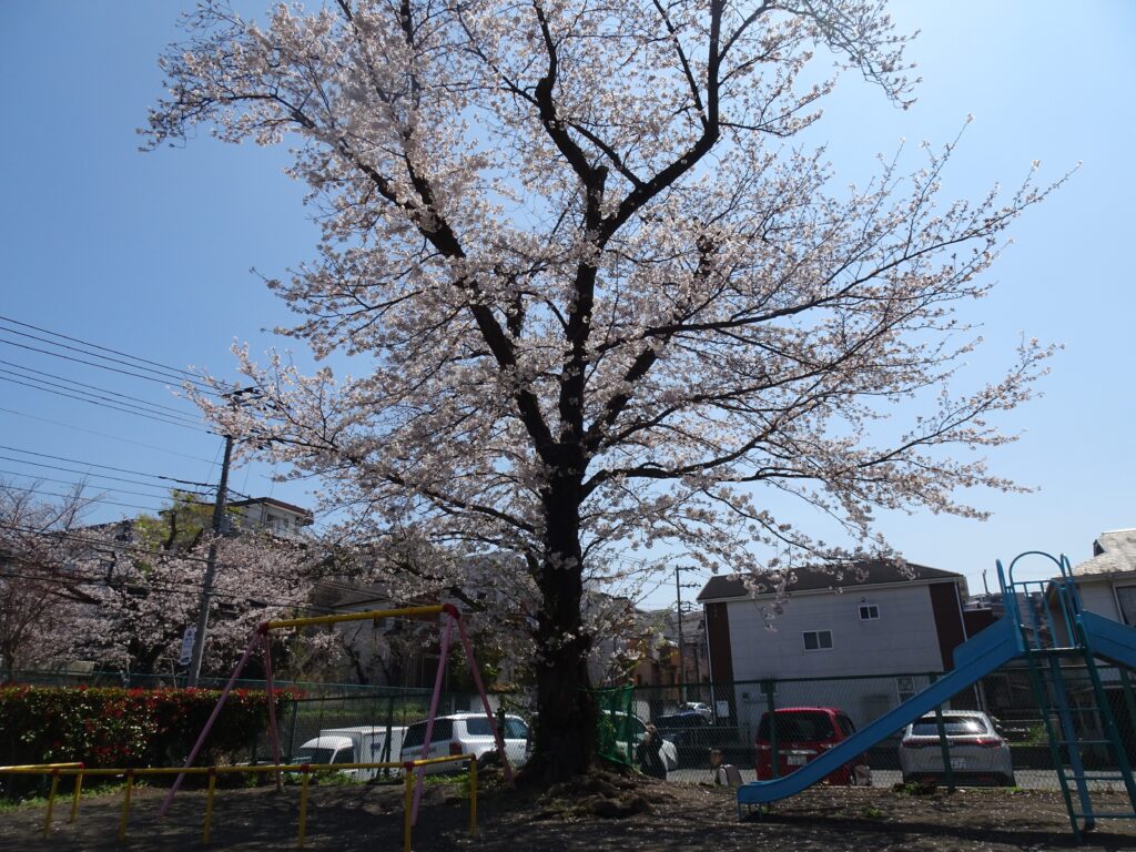 おめでとうございます！
