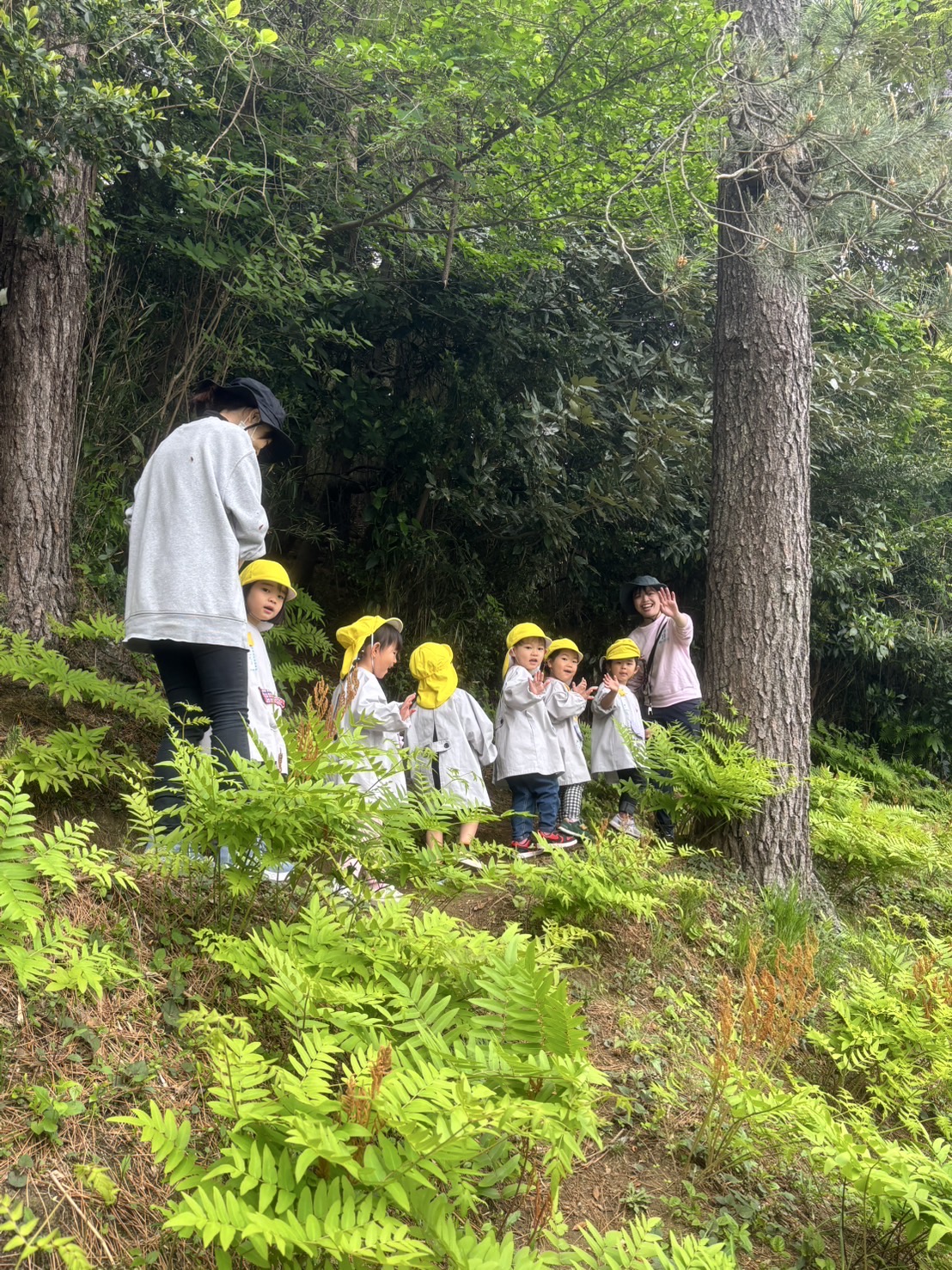 山たんけんに行ったよ