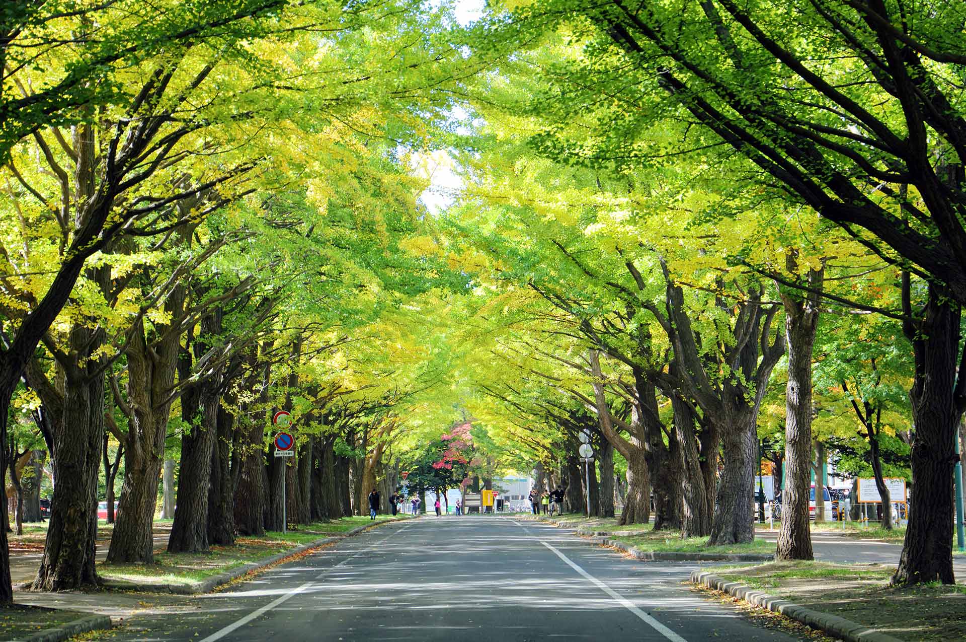 神奈川県が発行する「グリーンボンド」への投資についてSV背景画像