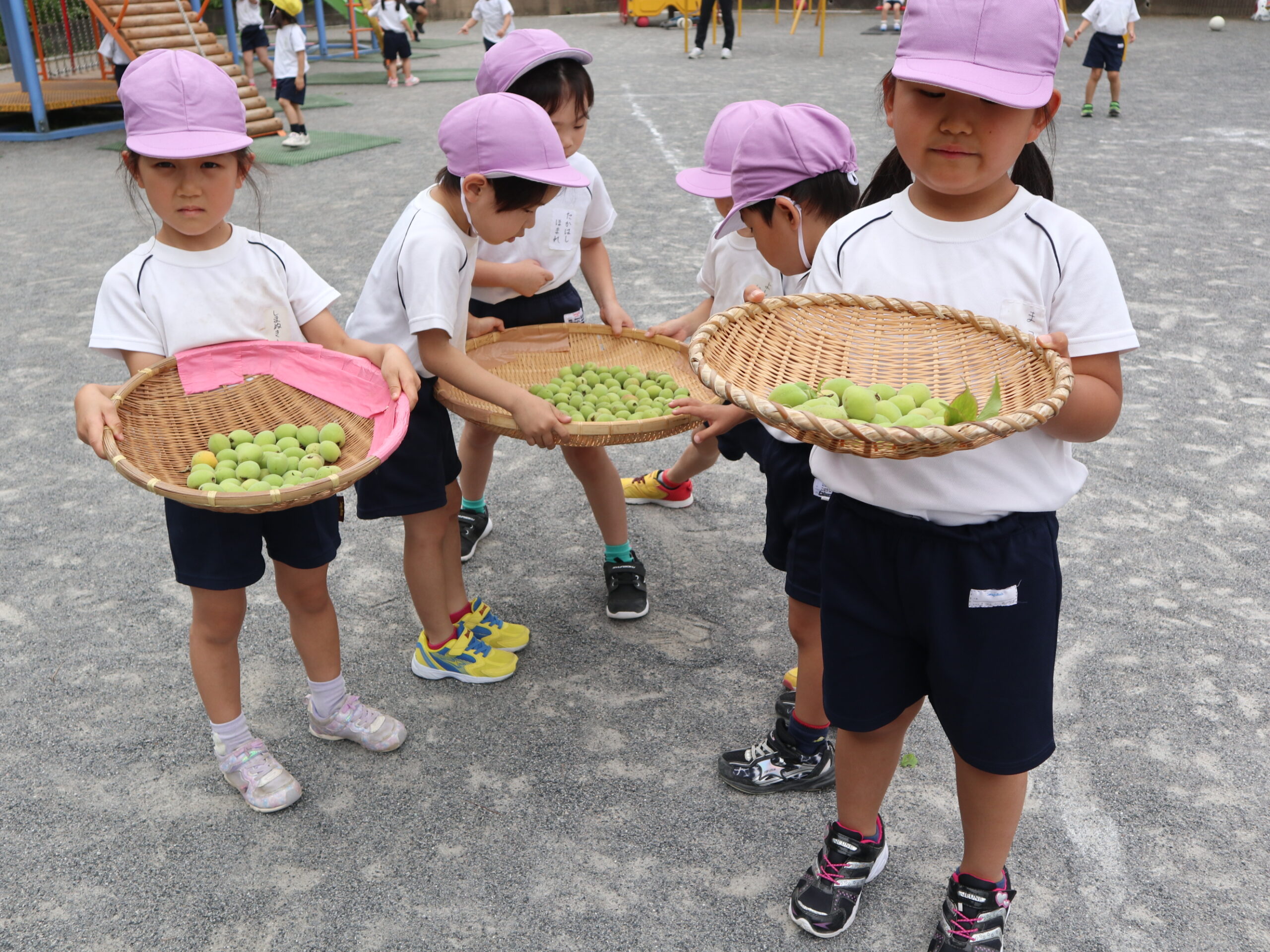 うめもぎ