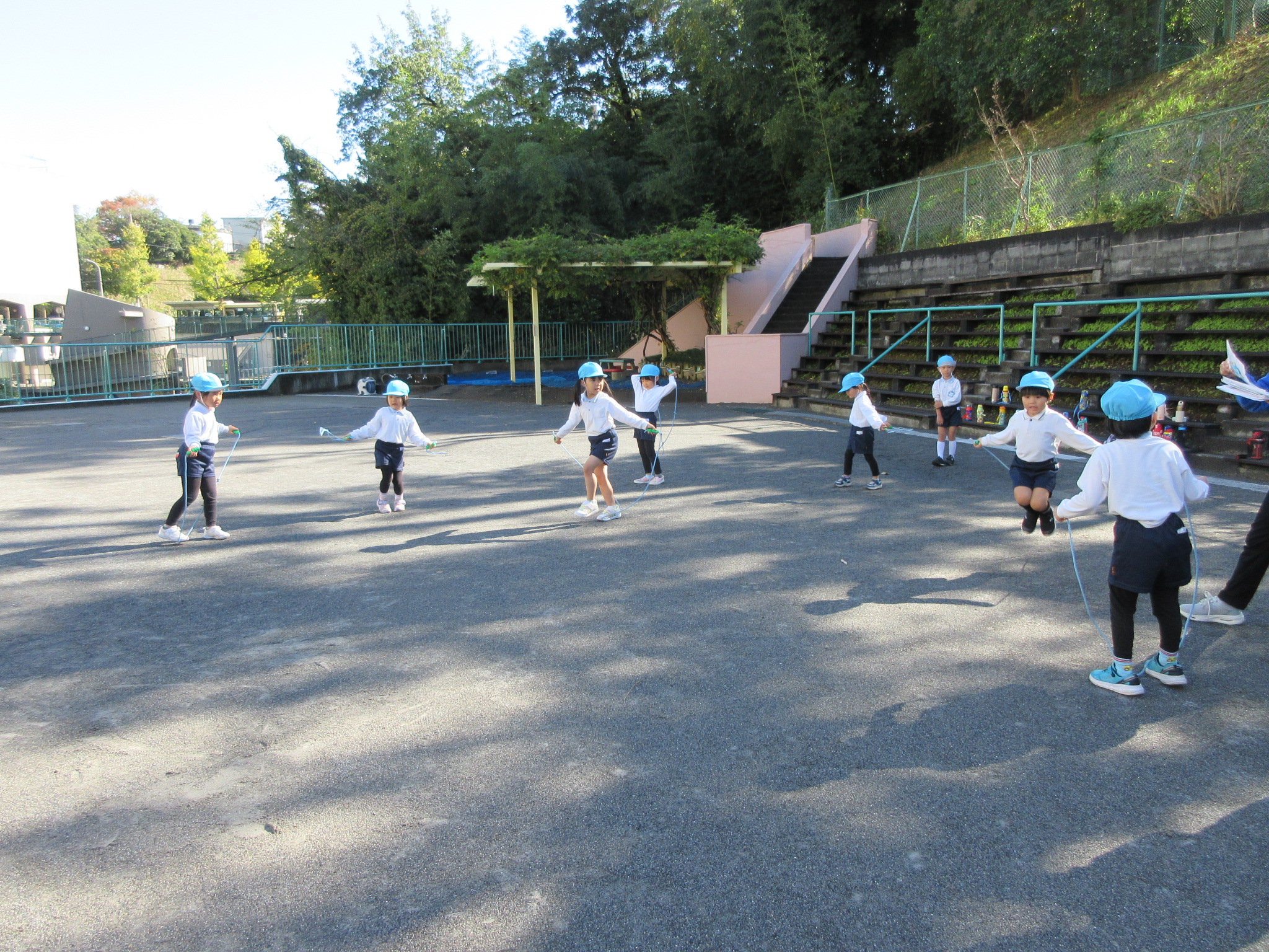 今週の活動（11/10~14）