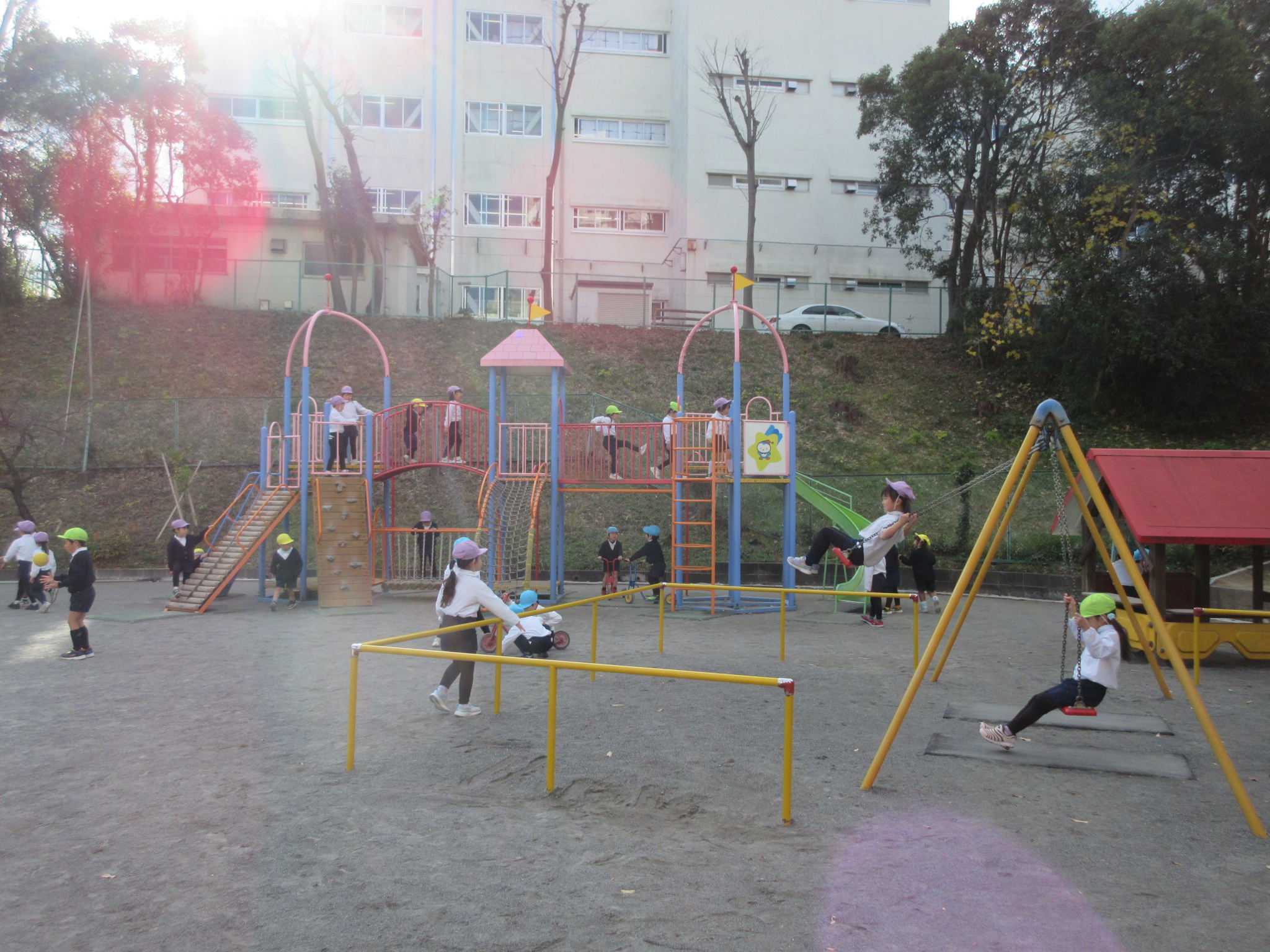 今週の活動（12/15～19）