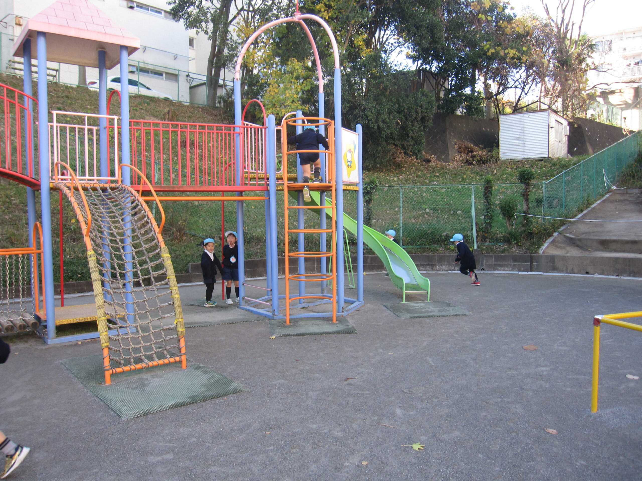 今週の活動（1/26~30）