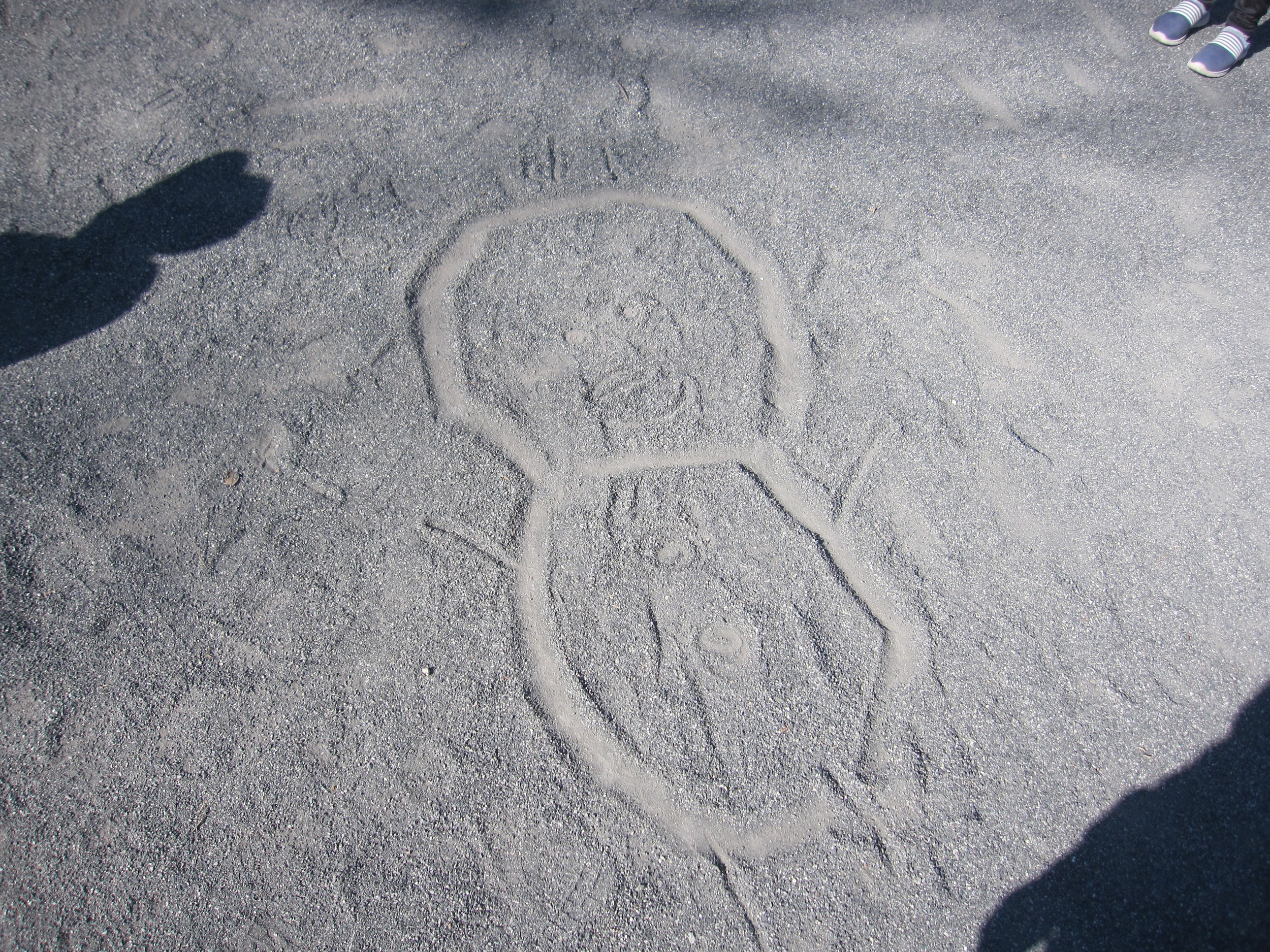 今週の活動（2/2~6）